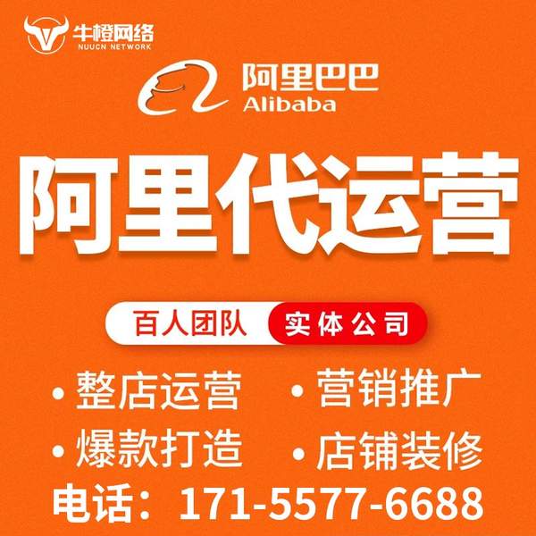 宜城电商代运营