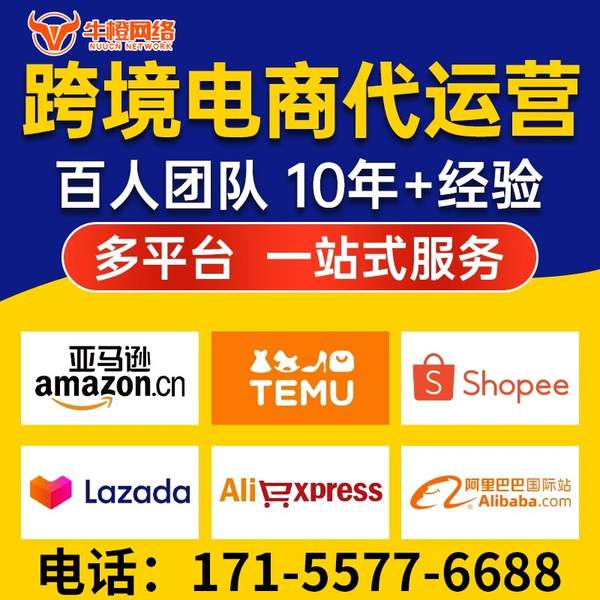 宜城电商代运营