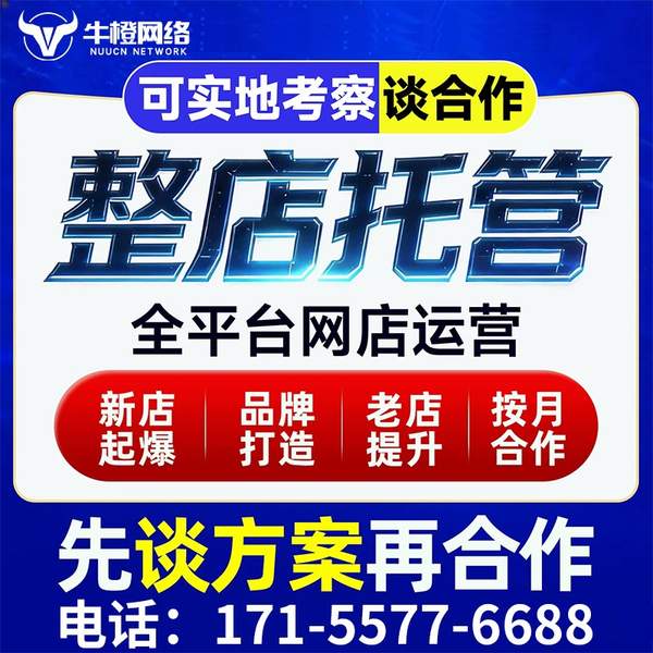 宜城电商代运营