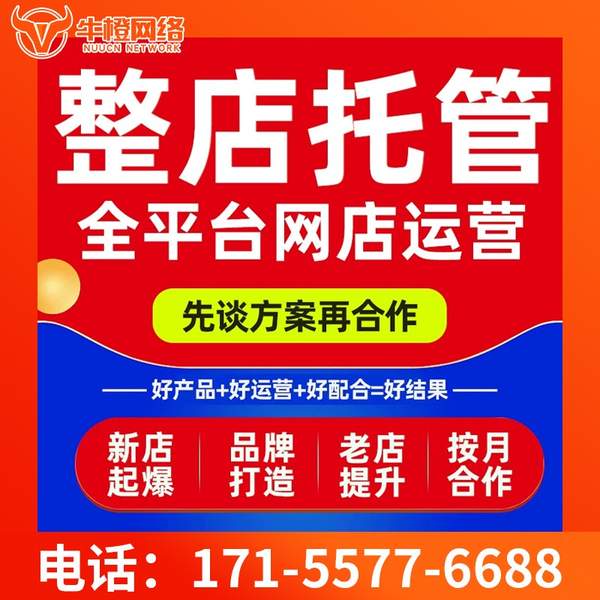 宜城电商代运营
