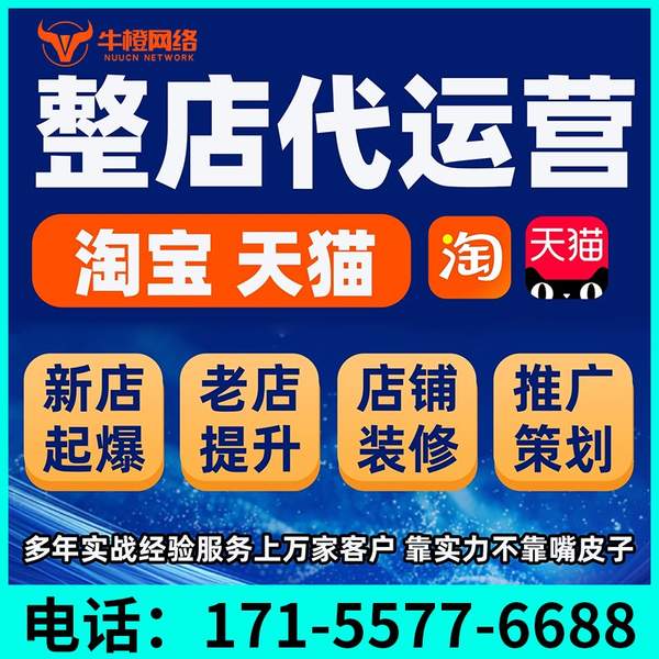 宜城电商代运营