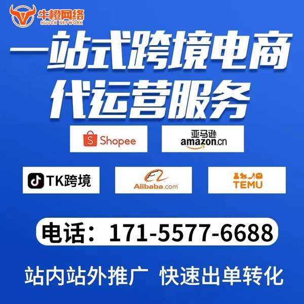宜城电商代运营