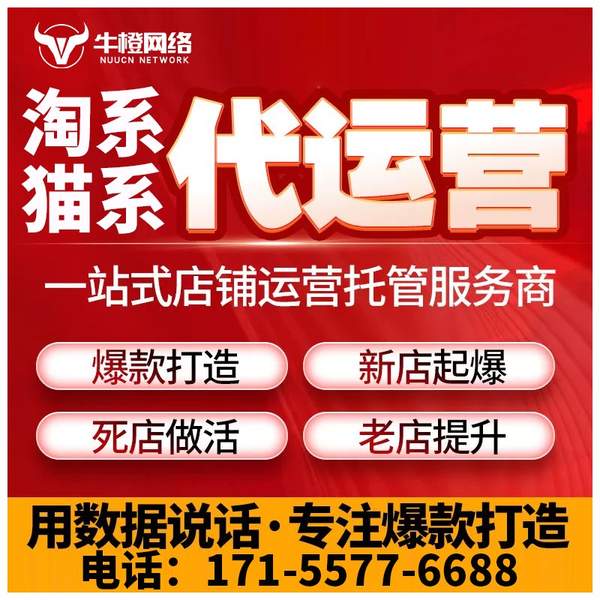 宜城电商代运营